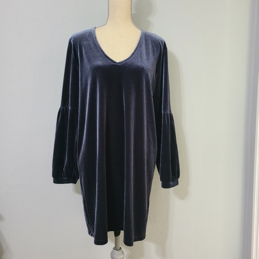 Madewell Velvet Balloon Sleeve Dress‎